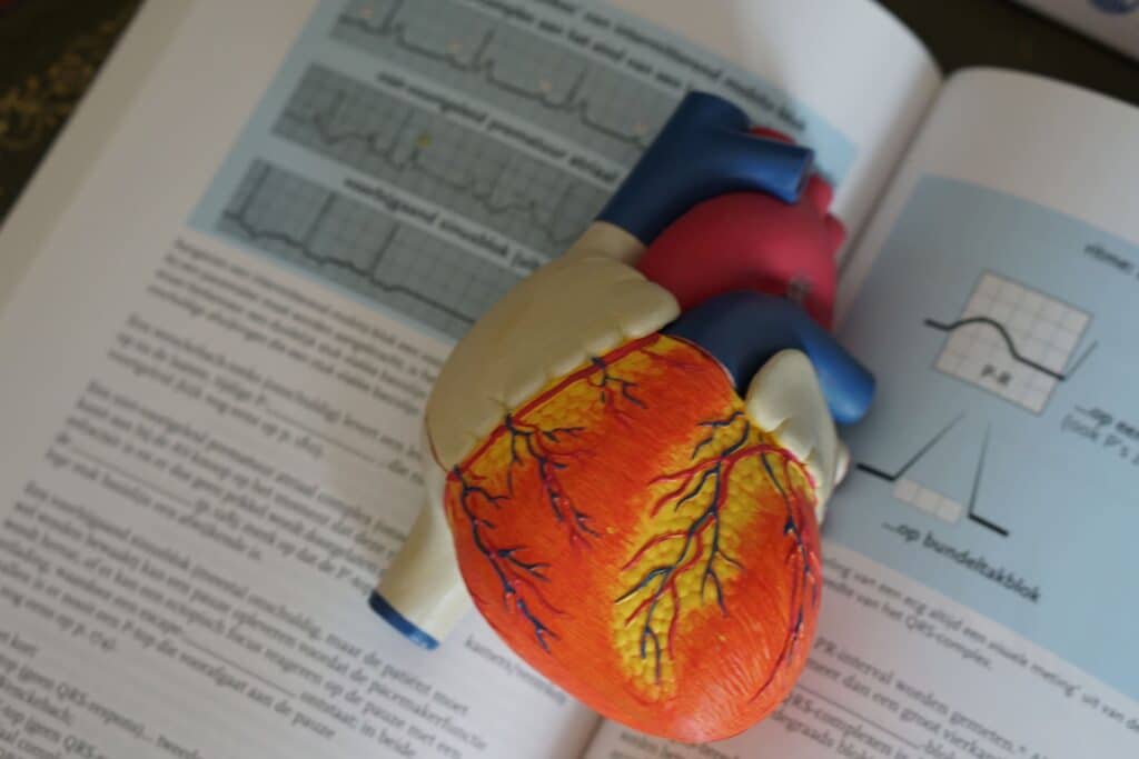 Heart attack vs cardiac arrest Brisbane first aid course-min